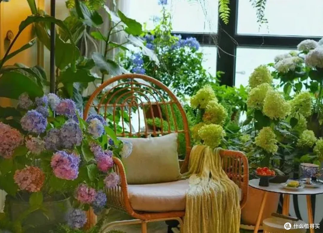 清理完阳台上的花草后,尤其是修剪后的花草,可以给剩下的植物适当施肥
