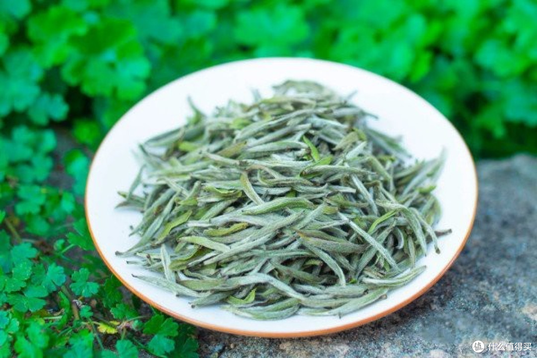 什么是“白茶”?中国哪里的最好喝?今天全说明白,来,涨知识了