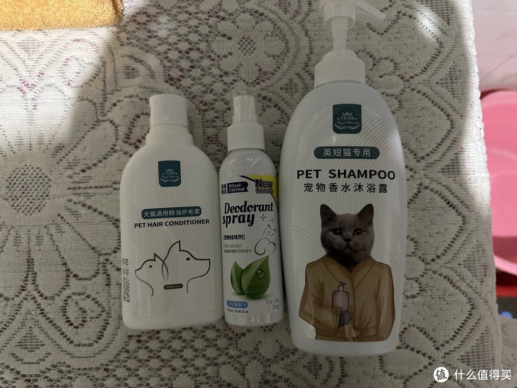 夏季给猫咪洗澡记