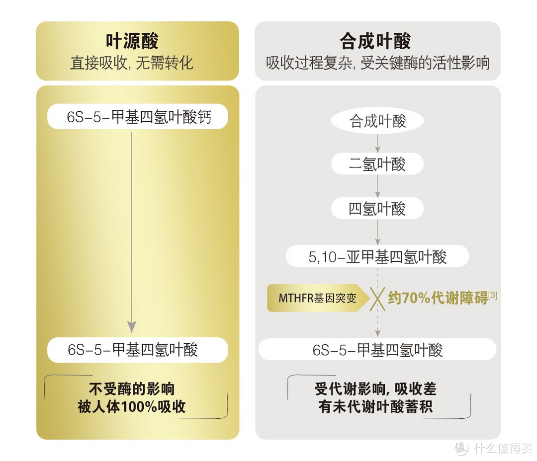 叶酸不能乱补，这么补才靠谱-阿糖育欣活性叶酸