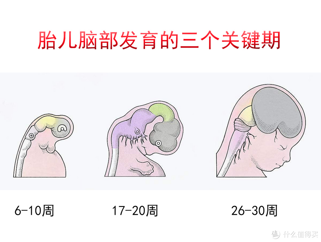 叶酸不能乱补，这么补才靠谱-阿糖育欣活性叶酸