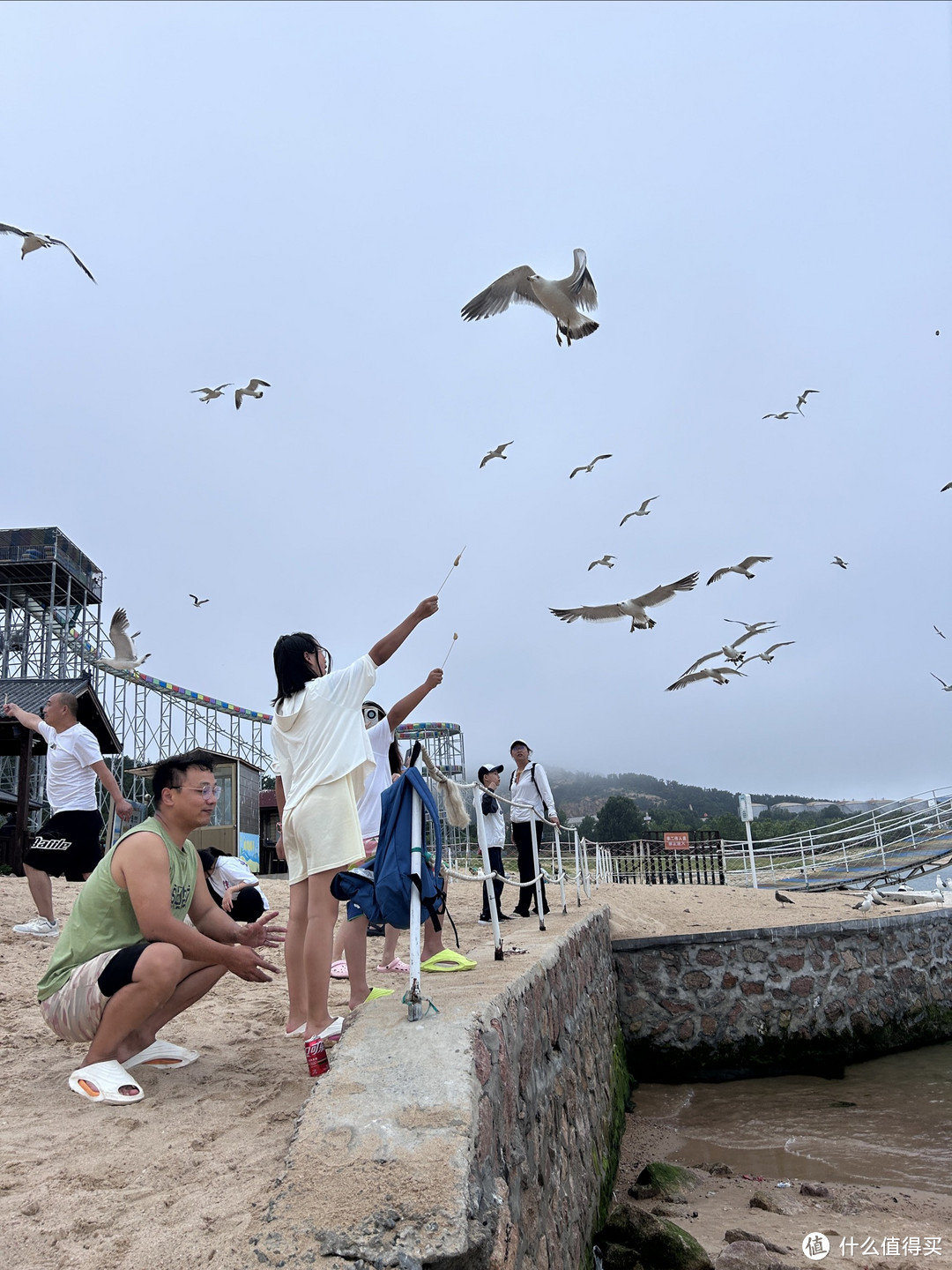 带娃探索山东：济南、威海、烟台6日5晚亲子之旅，保姆级记录分享！