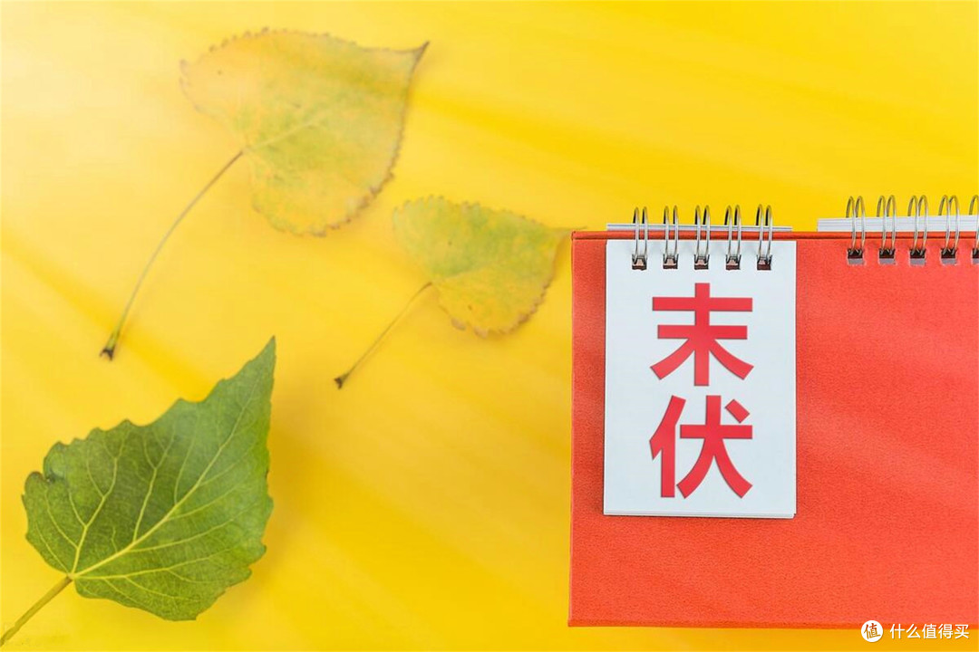 明日进入末伏,别忘了吃1瓜,食2肉,喝3汤,打好基础,舒坦入秋