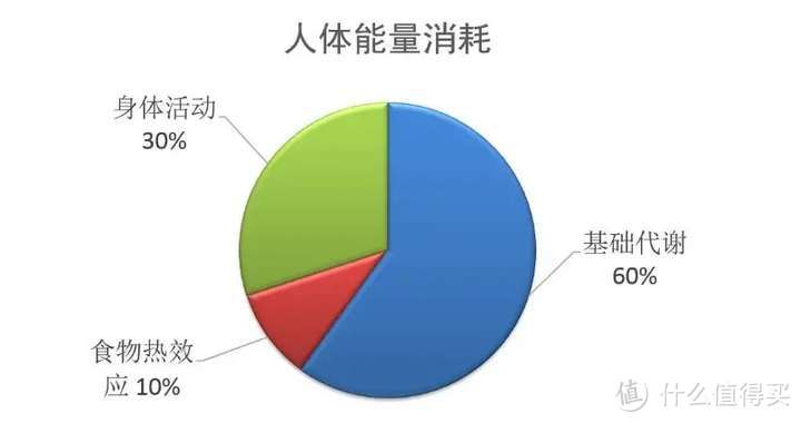 选对、用对，轻松享瘦！共轭亚油酸助力减肥，实现理想身材！