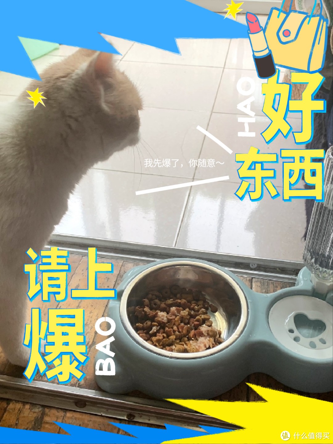 宠物生活的贴心伴侣:猫狗存水喂食器一体饭盆！