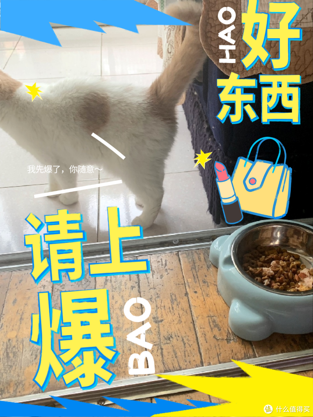 宠物生活的贴心伴侣:猫狗存水喂食器一体饭盆！