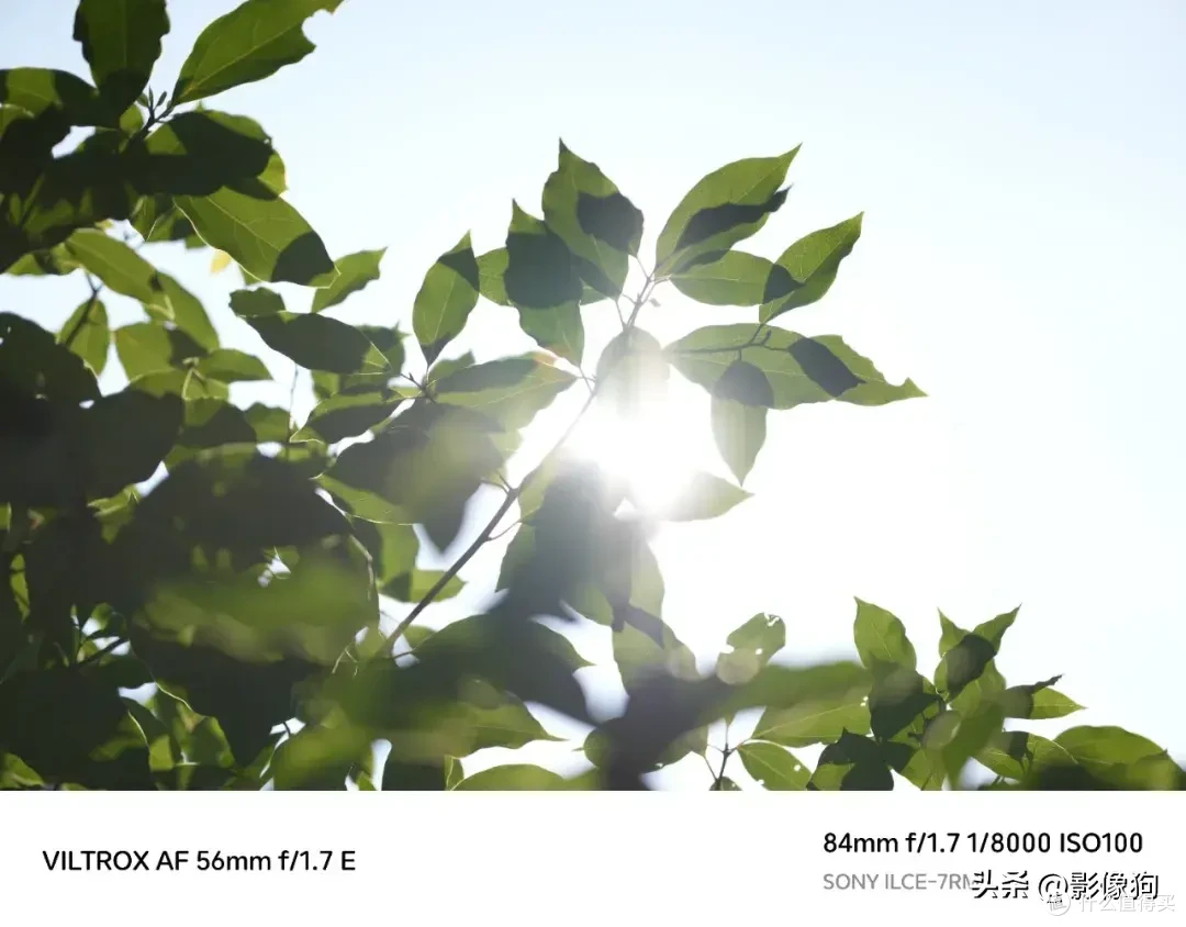 超高性价比人像镜迎来E卡口版本！唯卓仕AF56mm F1.7 E