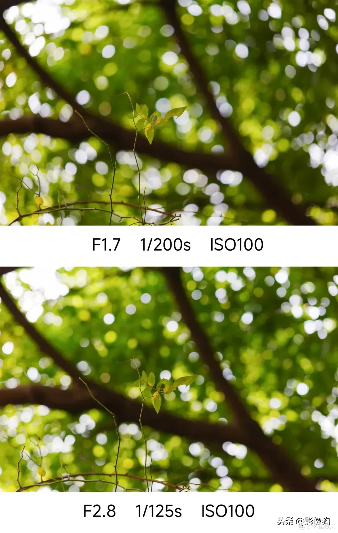 超高性价比人像镜迎来E卡口版本！唯卓仕AF56mm F1.7 E