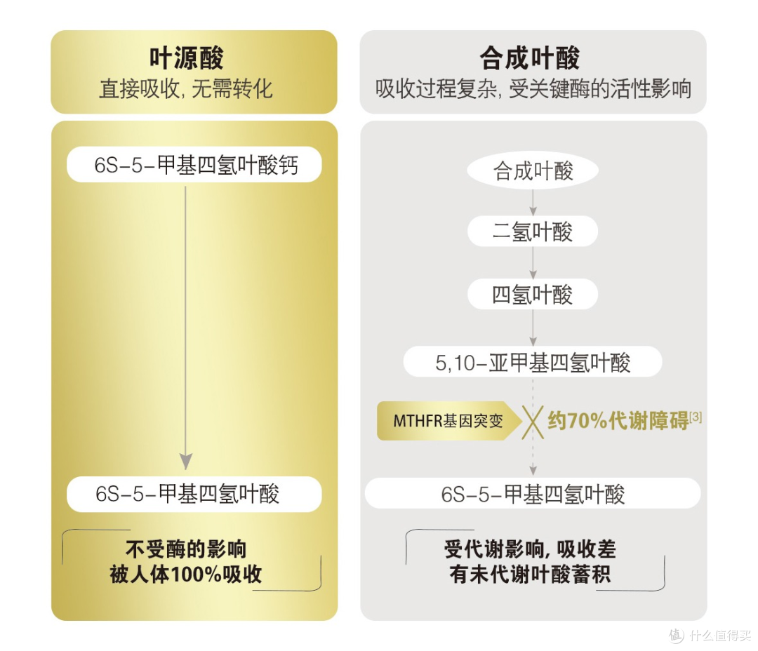 左边是活性叶酸，右边是普通叶酸
