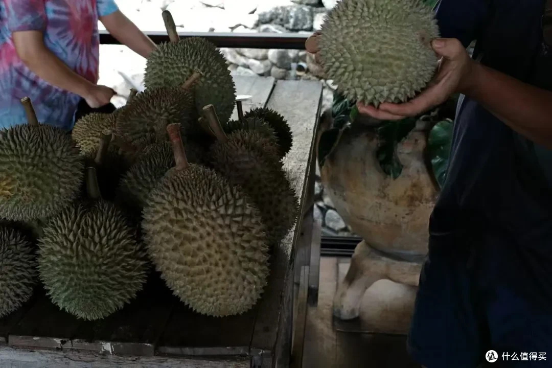 包了一座榴莲庄园，玩了把大的！