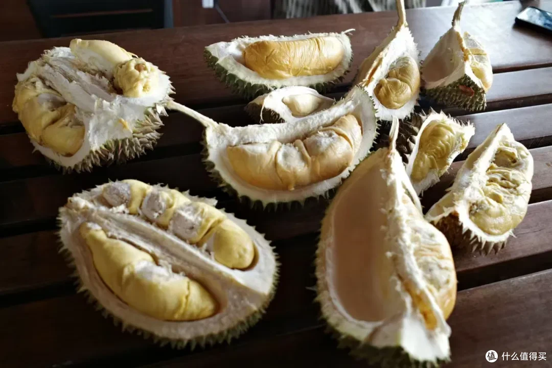 包了一座榴莲庄园，玩了把大的！