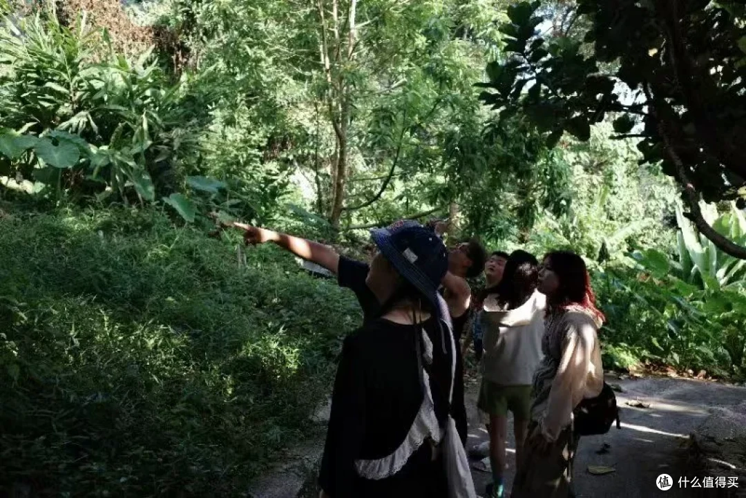 包了一座榴莲庄园，玩了把大的！