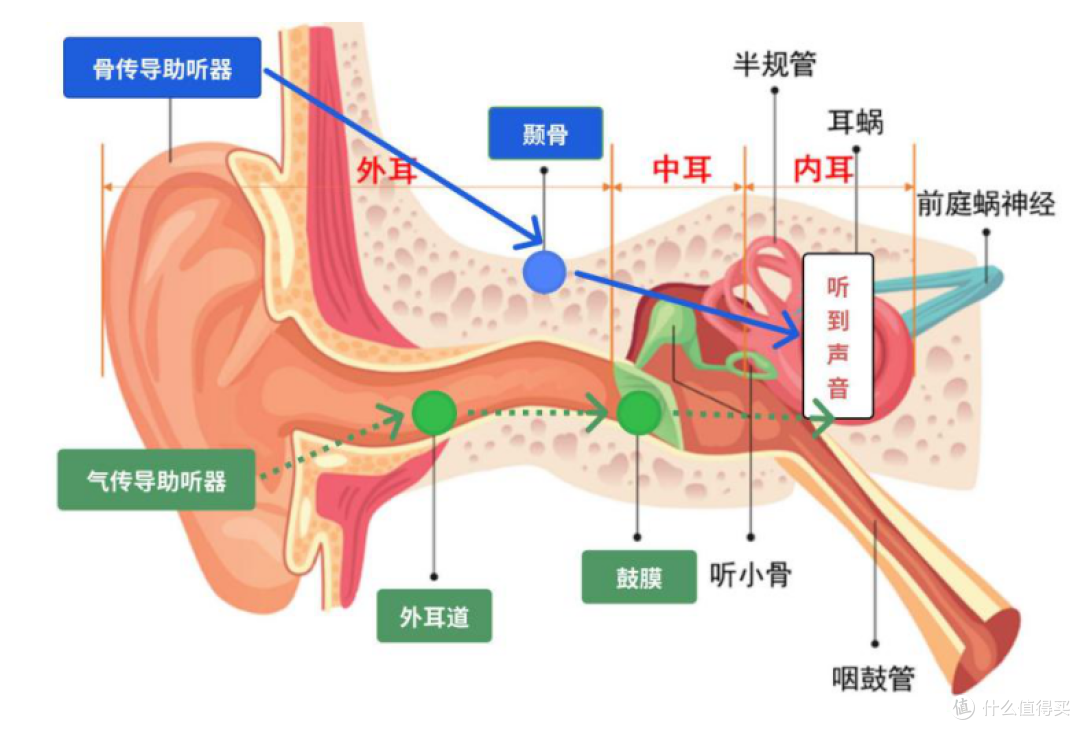 向听力问题说再见，左点助听器让听力升级，沟通无障碍