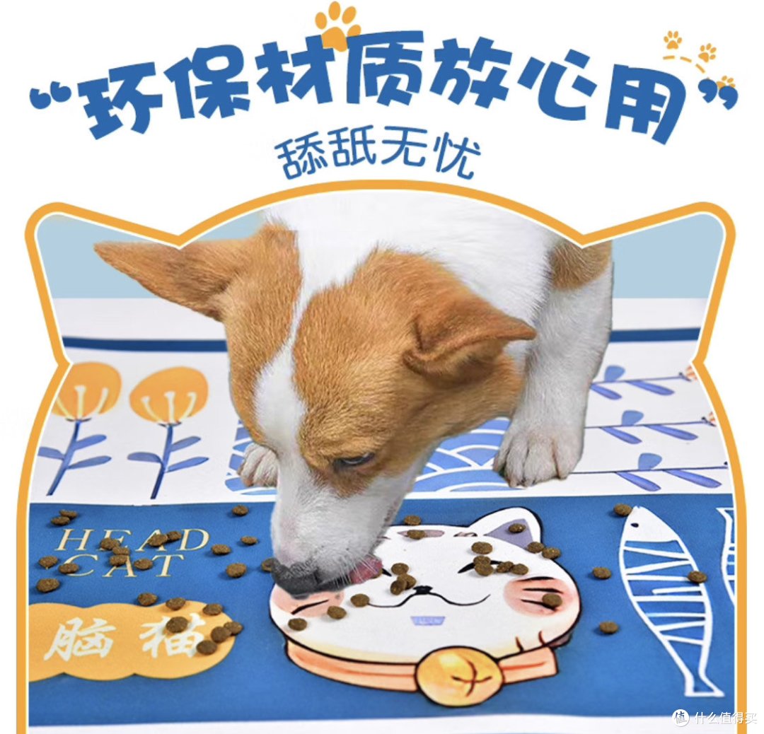 毛孩子的幸福生活，我家柯基的日常养护心得