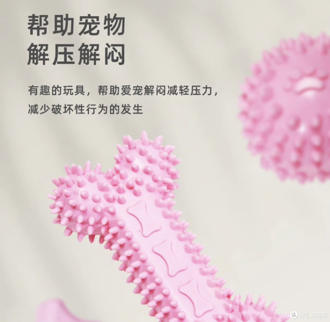 毛孩子的幸福生活，我家柯基的日常养护心得