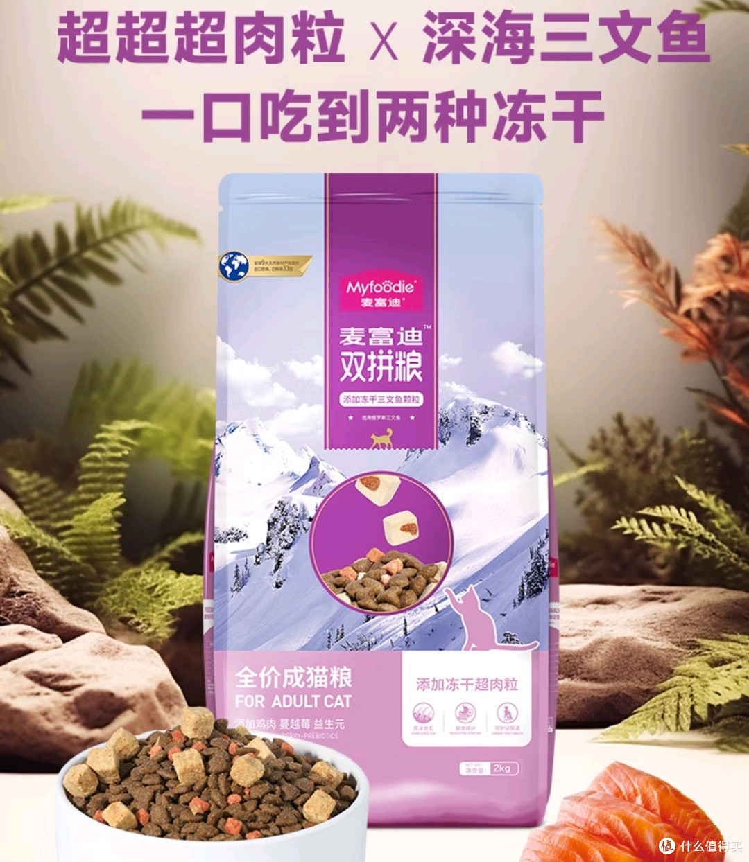 喵星人的幸福生活!!