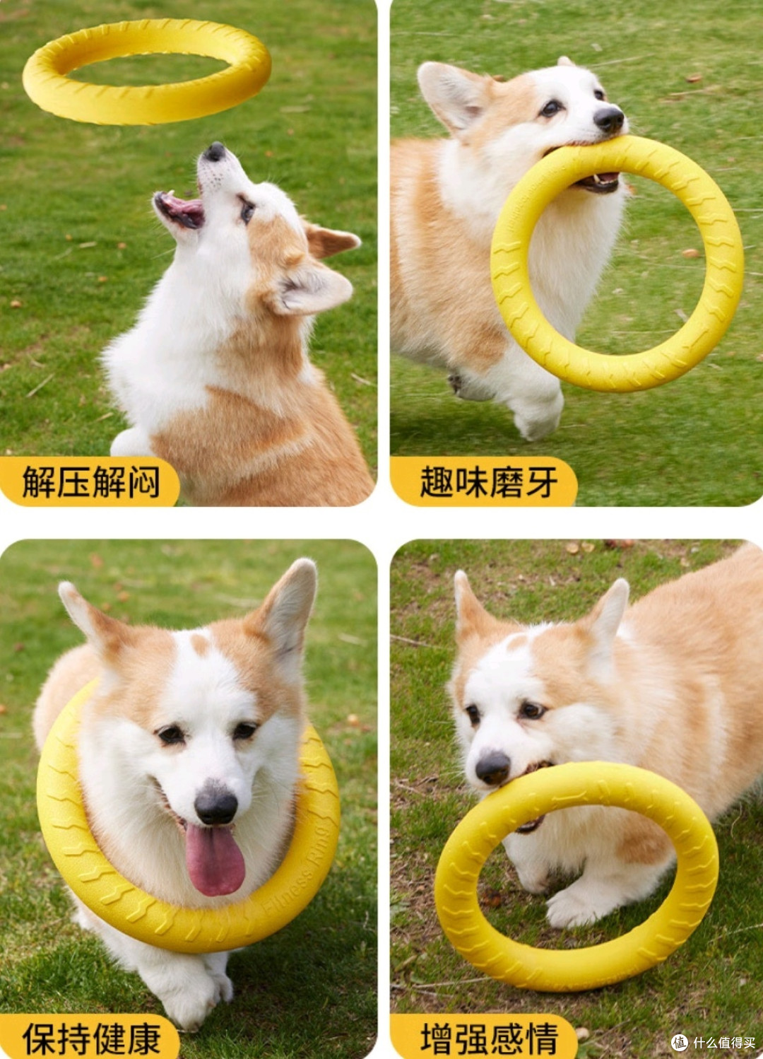 宠物用品!