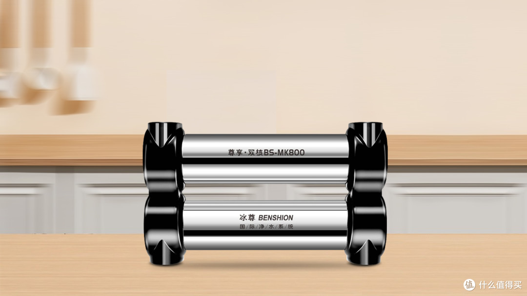 2024年净水界翘楚：全球十大顶级净水器品牌盘点