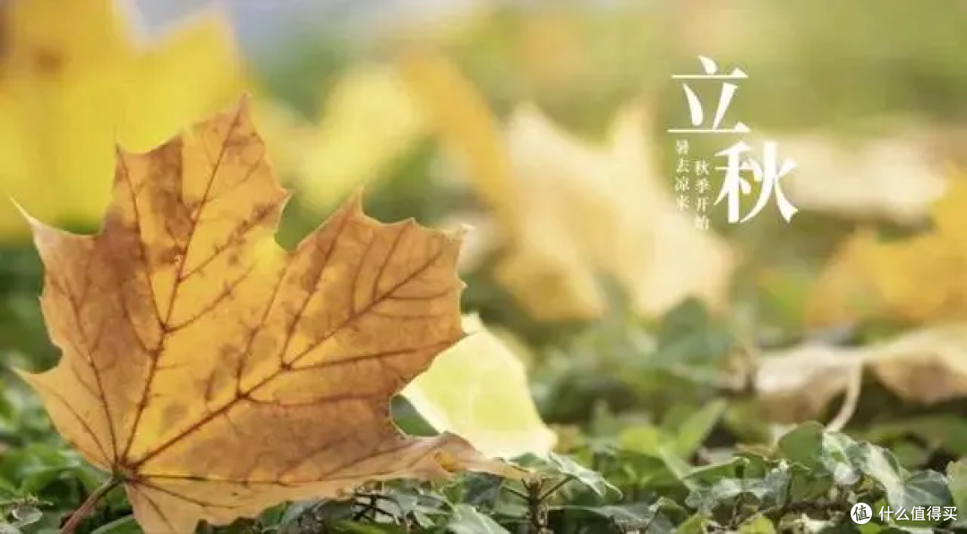 贴秋膘正当时,但是一定要“合理”贴秋膘哦