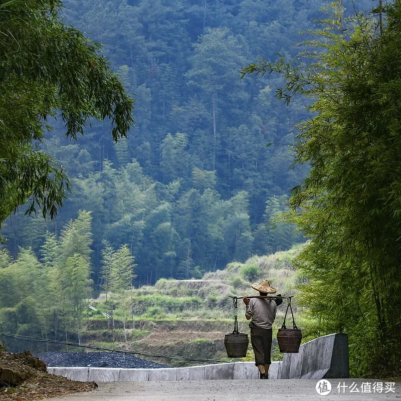 草民：我们为什么生生不息，我们凭什么生生不息？