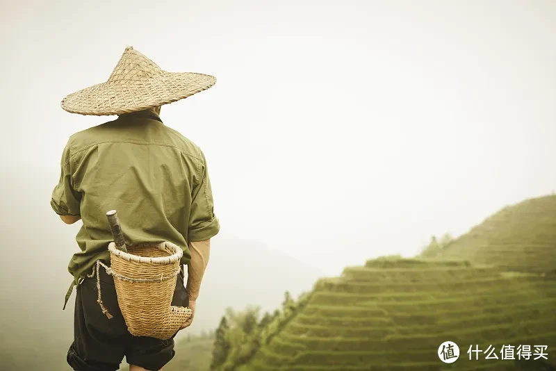 草民：我们为什么生生不息，我们凭什么生生不息？