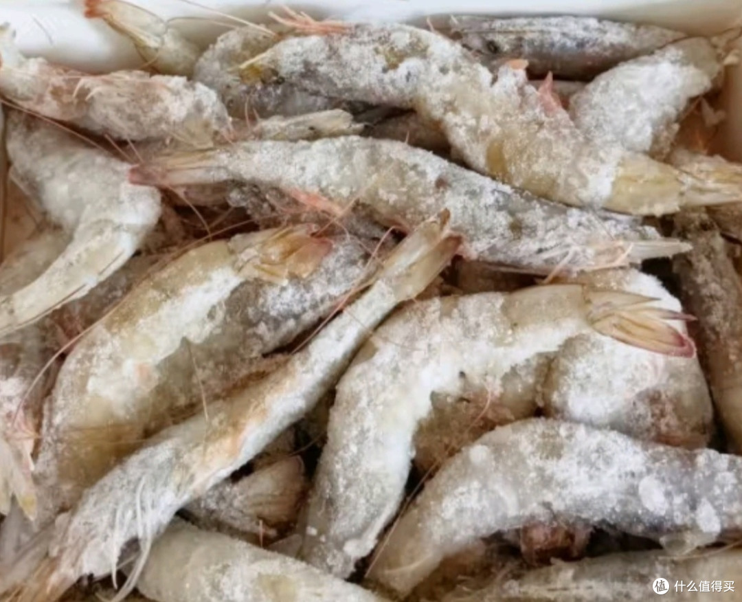 渔游记(YUYOUJI)大大大号对虾18-20cm厄瓜多尔海域净1.8kg 南美白虾2030生鲜虾类