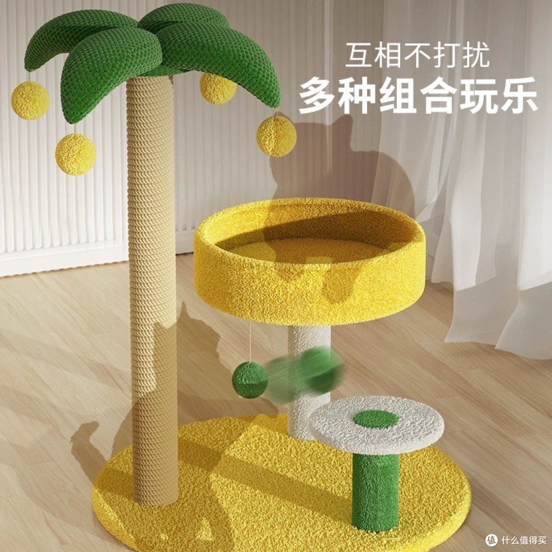 欢迎👏进入新手养猫指南