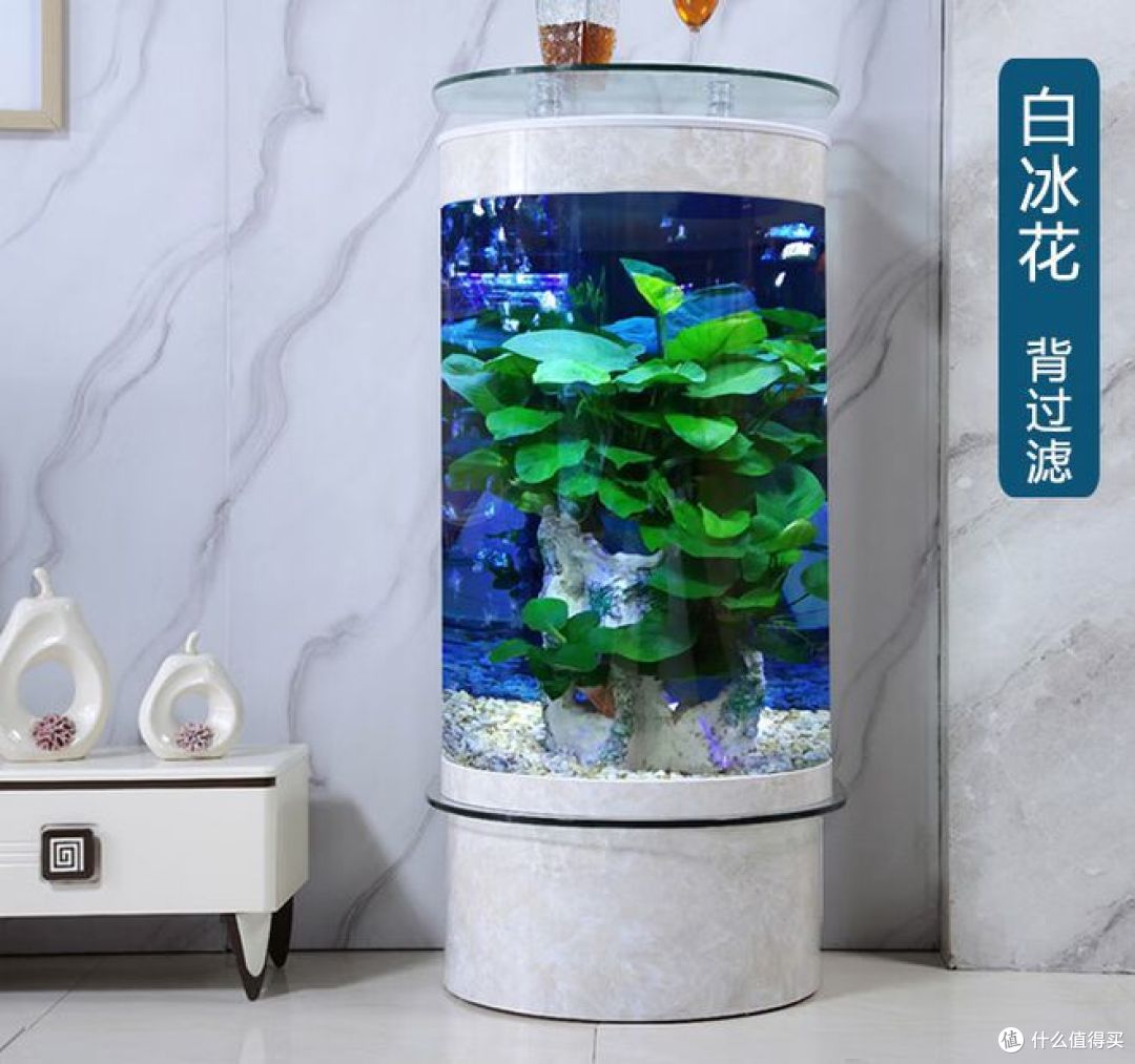 家用鱼缸如何选择？七个要点来帮你！