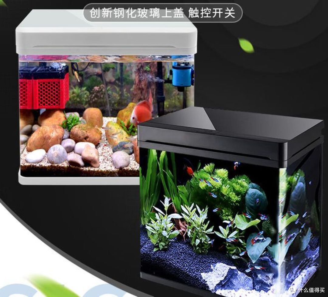 家用鱼缸如何选择？七个要点来帮你！
