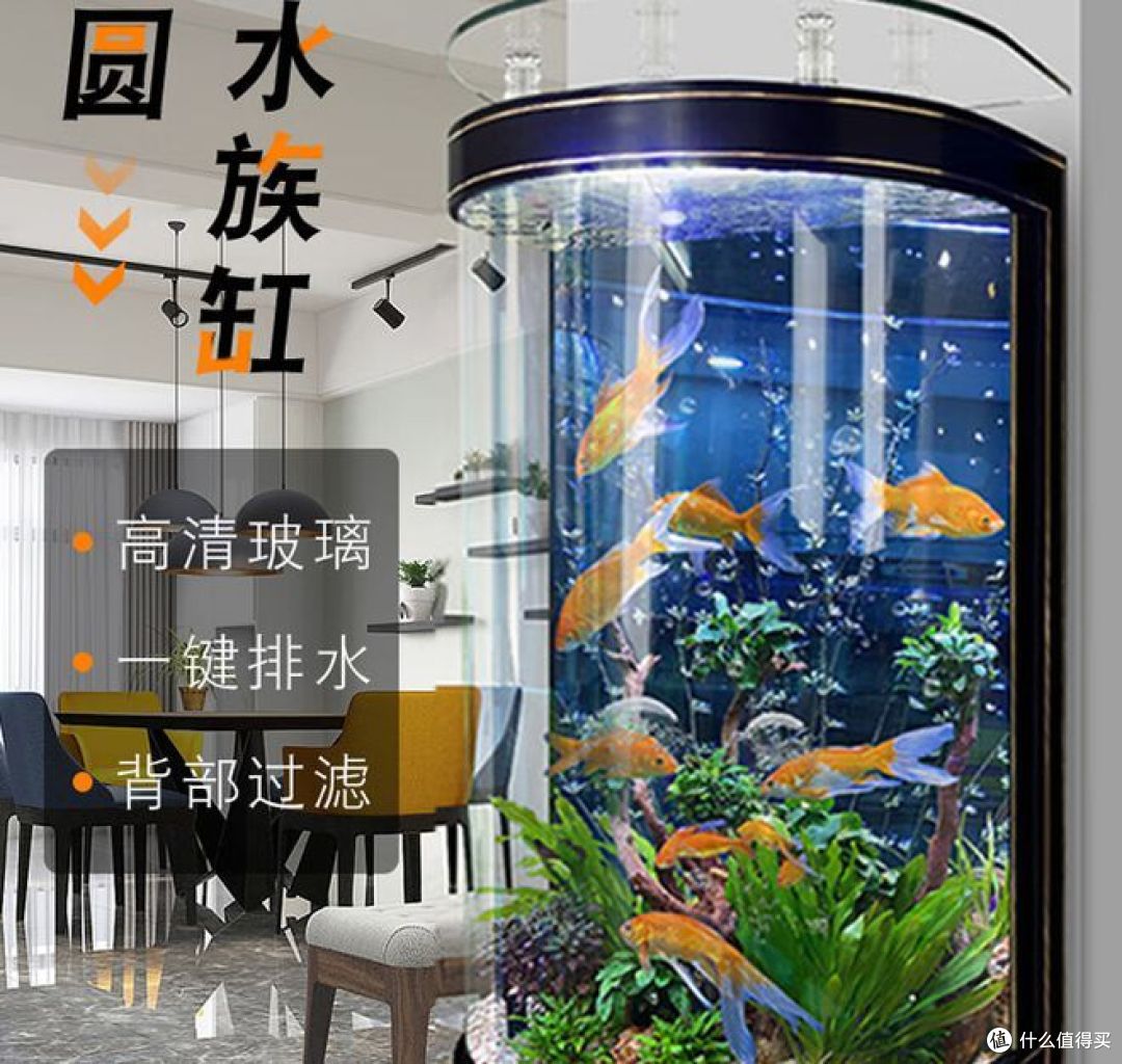 家用鱼缸如何选择？七个要点来帮你！