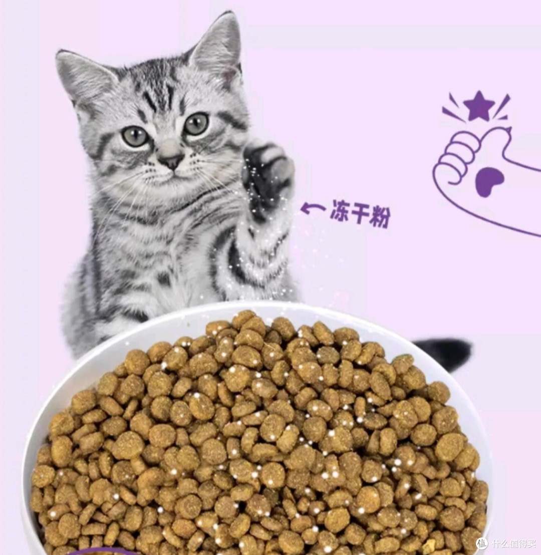 猫咪美食家必备！揭秘星益生趣冻干涂层猫粮的魅力
