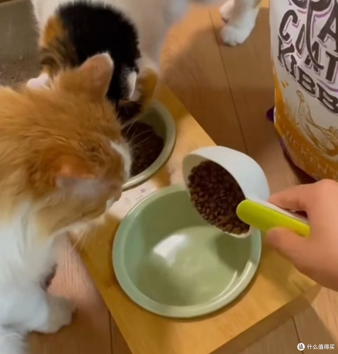 猫咪美食家必备！揭秘星益生趣冻干涂层猫粮的魅力