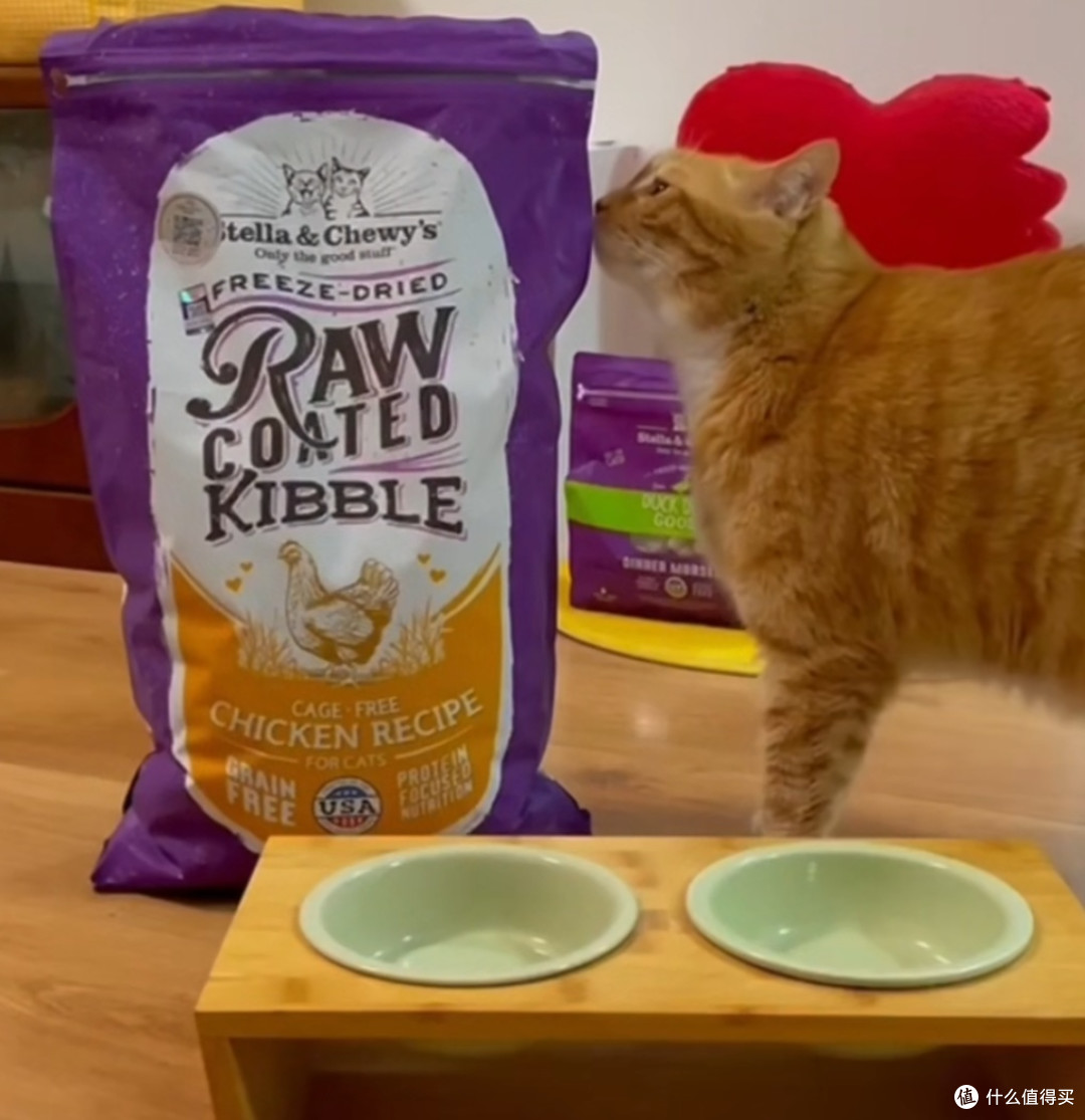 猫咪美食家必备！揭秘星益生趣冻干涂层猫粮的魅力
