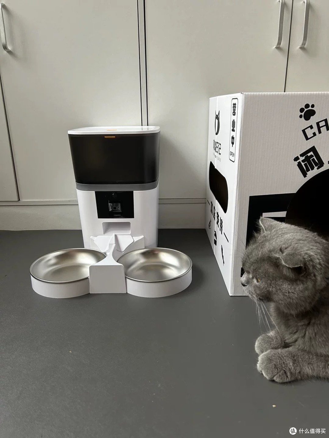 养猫需要准备的物品🐱