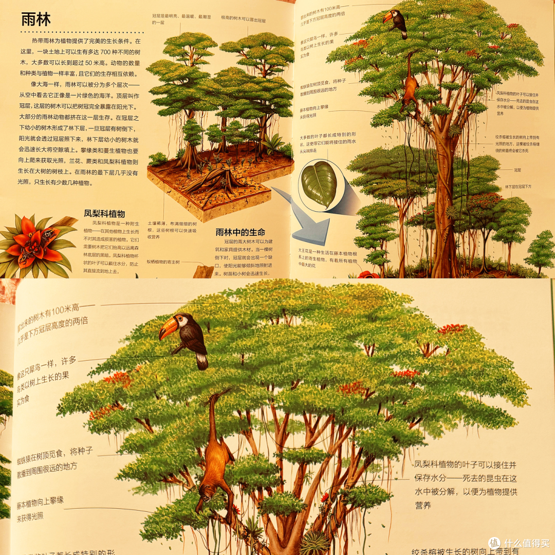 |适合5岁+宝宝看的超绝百科全书,终于被我找到了!|