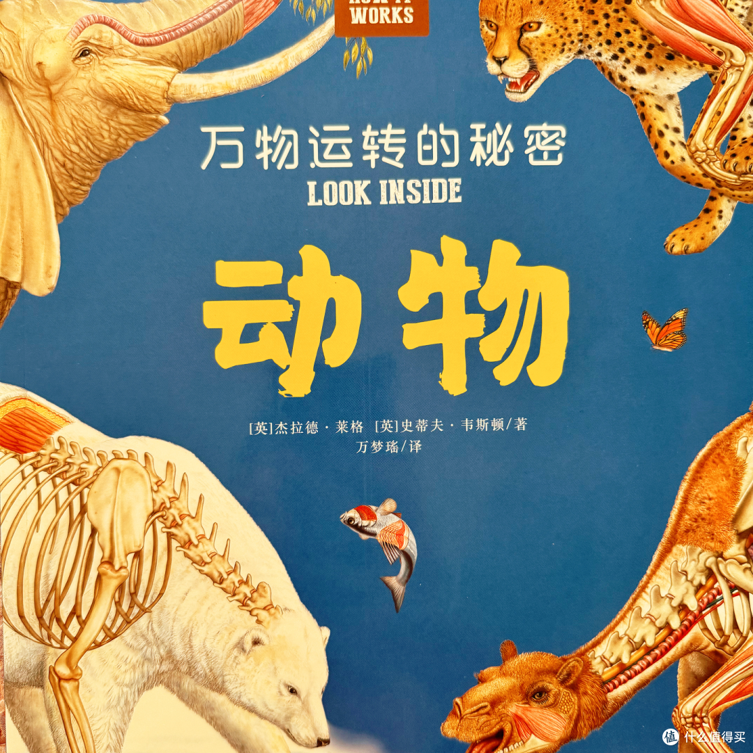 |适合5岁+宝宝看的超绝百科全书,终于被我找到了!|