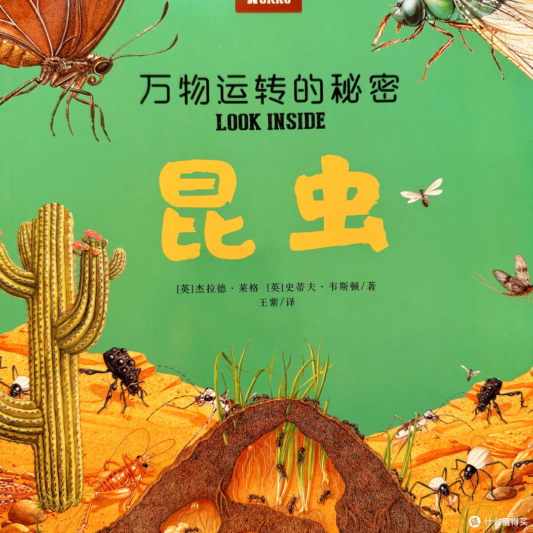 |适合5岁+宝宝看的超绝百科全书,终于被我找到了!|
