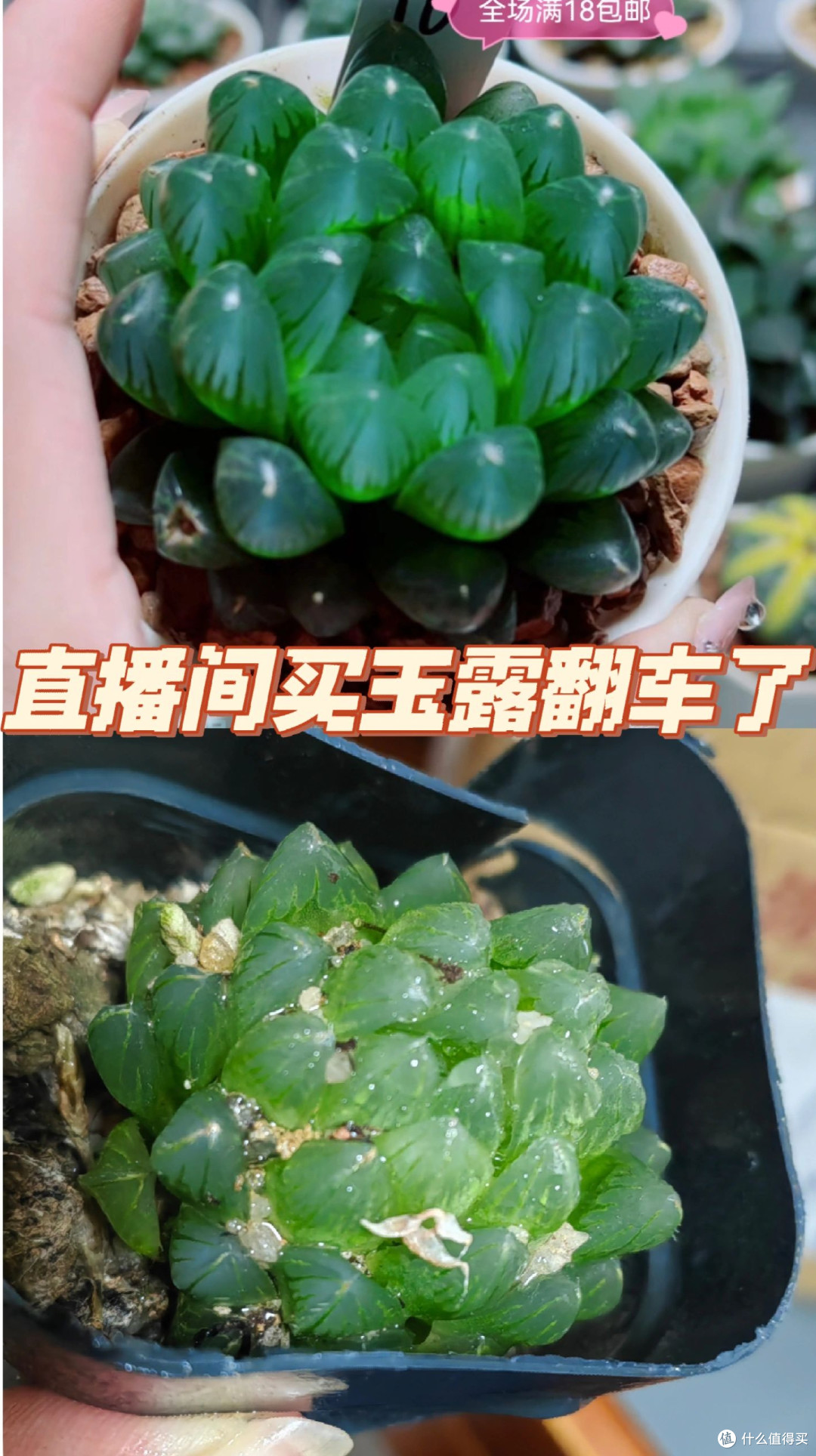 奉劝大家:再想省钱,这4样东西也“别在网上买”,全是套路