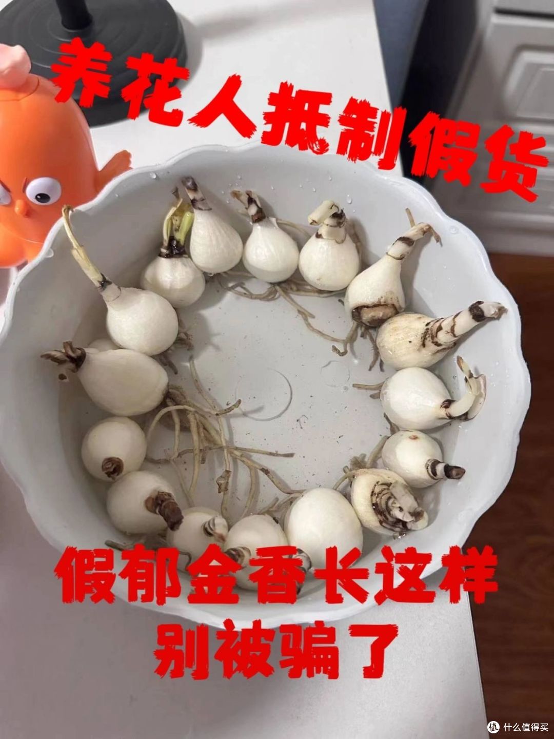 奉劝大家:再想省钱,这4样东西也“别在网上买”,全是套路