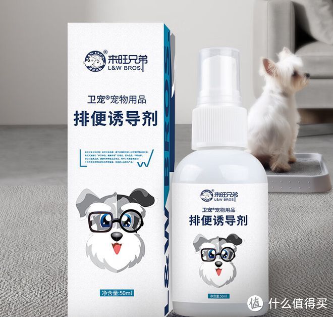 这四种必备狗狗用品，你家毛孩子用过吗？