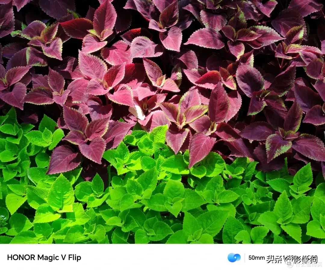 小折叠手机影像表现如何?荣耀Magic V Flip手机影像上手体验