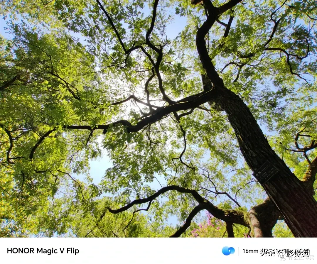 小折叠手机影像表现如何?荣耀Magic V Flip手机影像上手体验