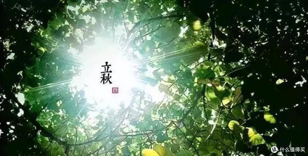 “秋后一伏，热死老牛”，立秋，今年立秋到底有多热