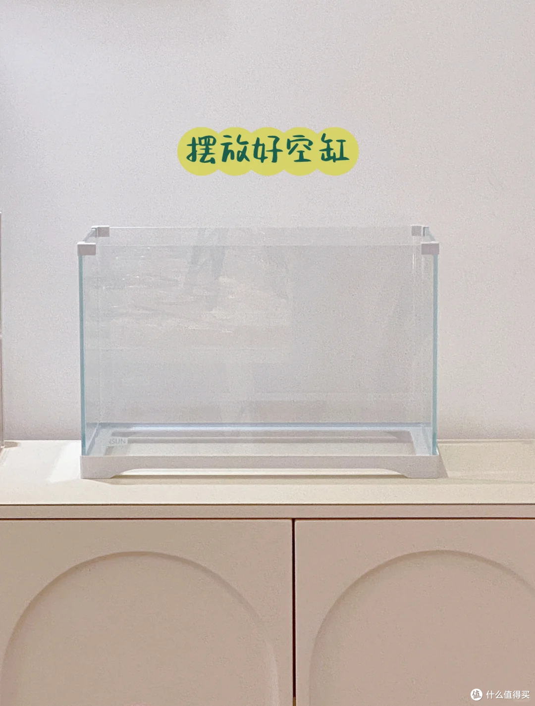 新手养鱼入缸指南