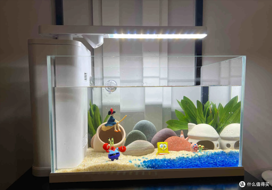 新手养鱼入缸指南