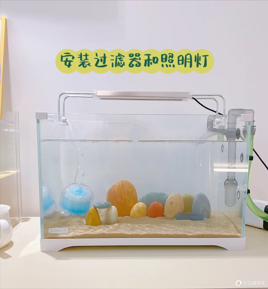 新手养鱼入缸指南