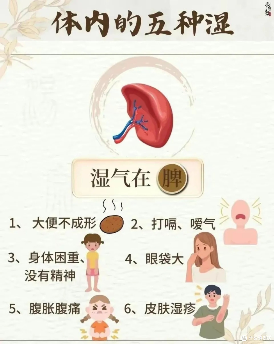 中医讲的湿气是怎么回事？