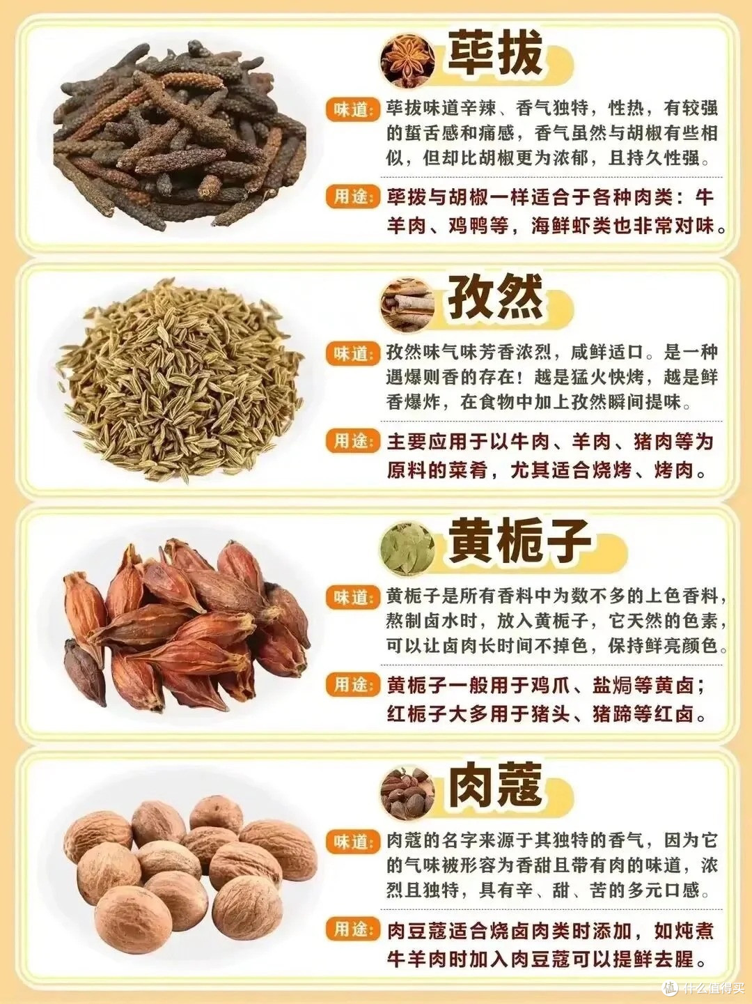 常见香料区别及用途,作为吃货,这些香料你需要知道!