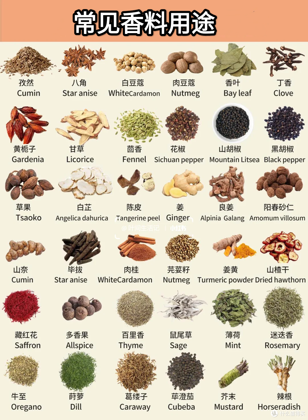 常见香料区别及用途,作为吃货,这些香料你需要知道!