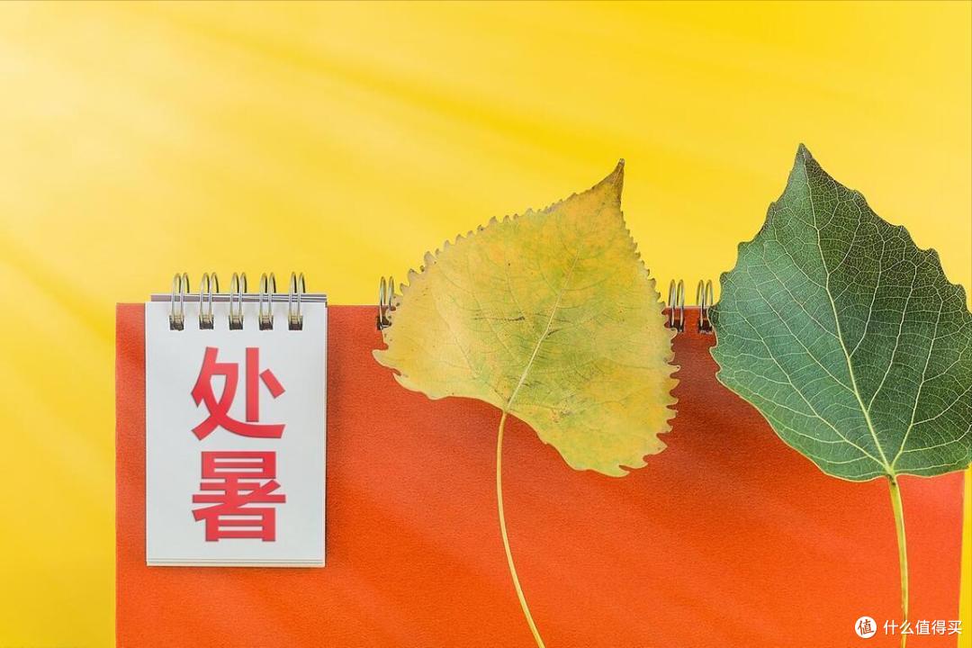 8月22处暑,节气前后,这6种“碱性”水果要多吃,防秋乏,去秋燥